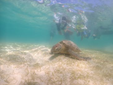 元気玉に投稿された画像（2024/8/15）