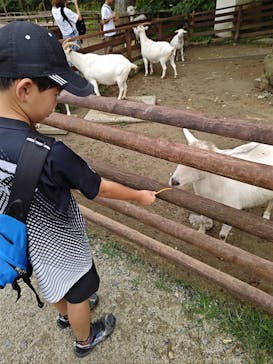 那須高原りんどう湖ファミリー牧場に投稿された画像（2024/8/15）