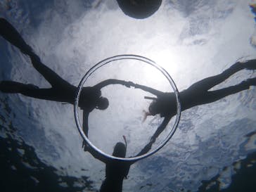 武藤潜水に投稿された画像（2024/8/15）