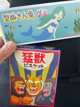 西武園ゆうえんちに投稿された画像（2024/8/14）