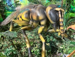 絶体絶命！？キミたちのサバイバル in ときメッセに投稿された画像（2024/8/15）