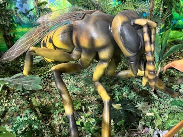 絶体絶命！？キミたちのサバイバル in ときメッセに投稿された画像（2024/8/15）