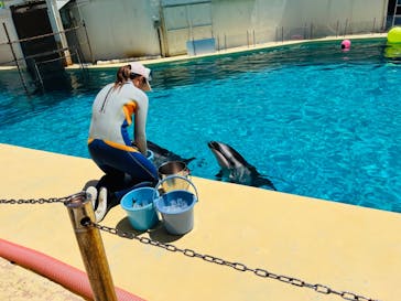 伊豆・三津シーパラダイスに投稿された画像（2024/8/15）