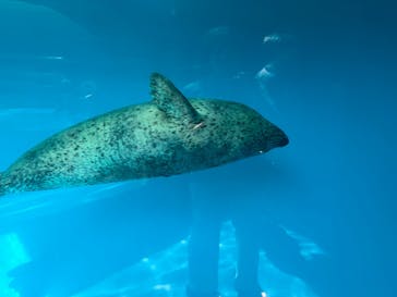 しながわ水族館に投稿された画像（2024/8/15）