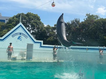 しながわ水族館に投稿された画像（2024/8/15）