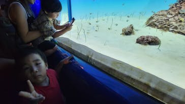 アクアワールド茨城県大洗水族館に投稿された画像（2024/8/15）
