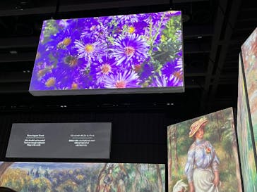 モネ＆フレンズ・アライブに投稿された画像（2024/8/15）