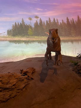 福井県立恐竜博物館に投稿された画像（2024/8/15）