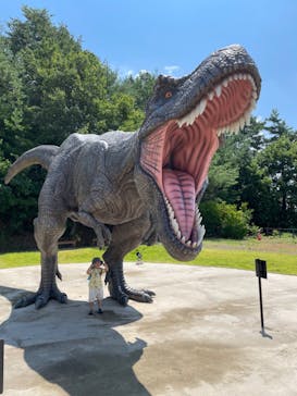 福井県立恐竜博物館に投稿された画像（2024/8/15）