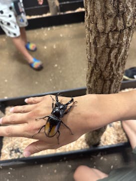 JOYPOLIS 特別イベントスペースに投稿された画像（2024/8/15）