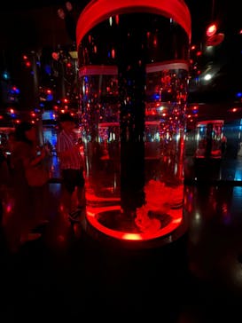 マクセル アクアパーク品川に投稿された画像（2024/8/15）