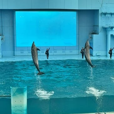 横浜・八景島シーパラダイス　プレジャーランドに投稿された画像（2024/8/15）