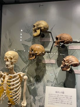 福井県立恐竜博物館に投稿された画像（2024/8/15）