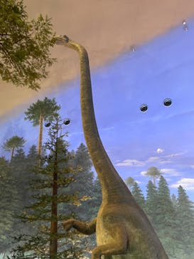 福井県立恐竜博物館に投稿された画像（2024/8/15）