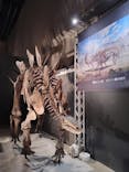 福井県立恐竜博物館に投稿された画像（2024/8/15）