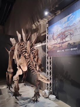 福井県立恐竜博物館に投稿された画像（2024/8/15）