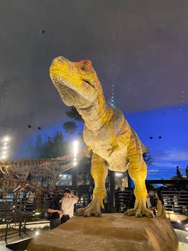 福井県立恐竜博物館に投稿された画像（2024/8/15）