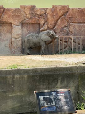 東武動物公園に投稿された画像（2024/8/15）