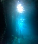 沖縄マリンサービス碧に投稿された画像（2024/8/15）