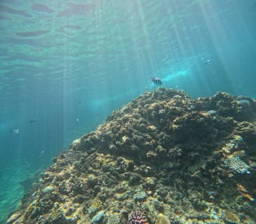 沖縄マリンサービス碧に投稿された画像（2024/8/15）