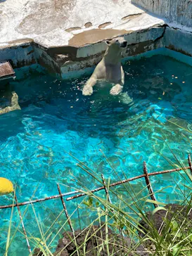 天王寺動物園に投稿された画像（2024/8/15）