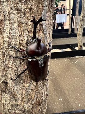 JOYPOLIS 特別イベントスペースに投稿された画像（2024/8/15）