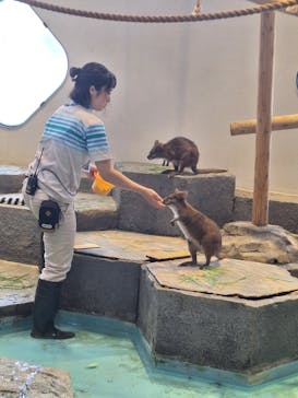 NIFREL（ニフレル）に投稿された画像（2024/8/15）