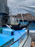 名古屋港水族館に投稿された画像（2024/8/15）