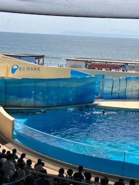 新江ノ島水族館に投稿された画像（2024/8/15）