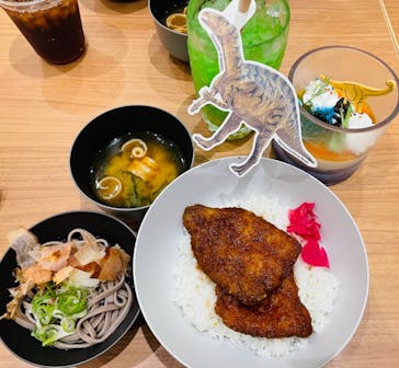 福井県立恐竜博物館に投稿された画像（2024/8/10）