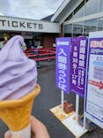たんばらラベンダーパークに投稿された画像（2024/8/15）