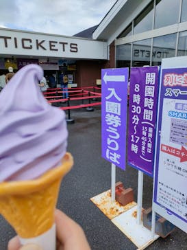 たんばらラベンダーパークに投稿された画像（2024/8/15）