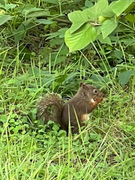 那須どうぶつ王国に投稿された画像（2024/8/15）