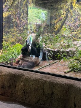 恩賜上野動物園に投稿された画像（2024/8/15）