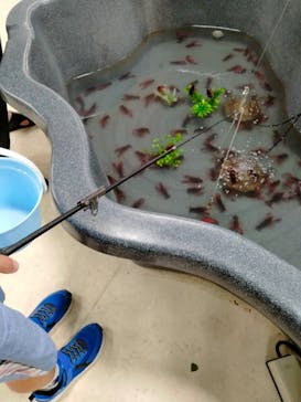 いきもの探検隊上尾に投稿された画像（2024/8/15）