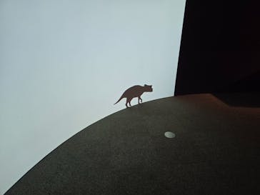 DinoScience 恐竜科学博 ～ララミディア大陸の恐竜物語～ 2024@OSAKAに投稿された画像（2024/8/15）