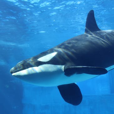 名古屋港水族館に投稿された画像（2024/8/15）