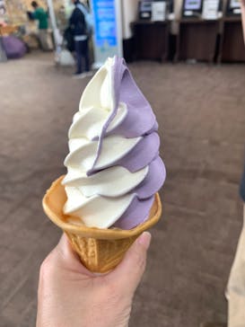 たんばらラベンダーパークに投稿された画像（2024/8/15）