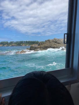 東尋坊観光遊覧船株式会社に投稿された画像（2024/8/15）