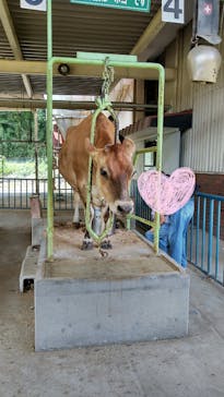 那須高原りんどう湖ファミリー牧場に投稿された画像（2024/8/15）