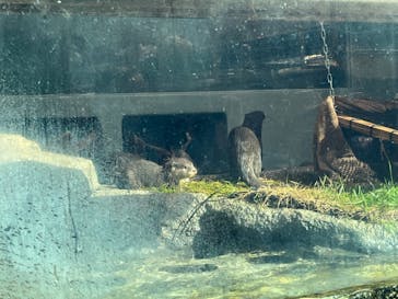 サンシャイン水族館に投稿された画像（2024/8/15）