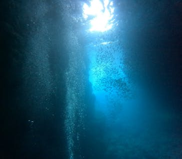 沖縄マリンサービス碧に投稿された画像（2024/8/15）