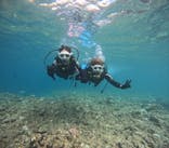 沖縄マリンサービス碧に投稿された画像（2024/8/15）