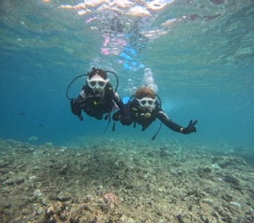 沖縄マリンサービス碧に投稿された画像（2024/8/15）