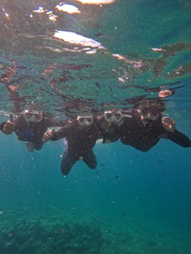 沖縄マリンサービス碧に投稿された画像（2024/8/15）