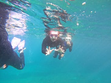 沖縄マリンサービス碧に投稿された画像（2024/8/15）