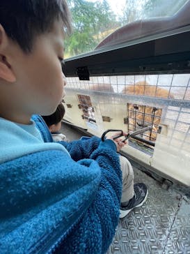 群馬サファリパークに投稿された画像（2024/8/15）