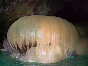 宮古島 ADVENTURE PiPi（ミヤコジマ アドベンチャー ピピ）に投稿された画像（2024/8/15）