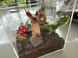 ラブジャパンブランドに投稿された画像（2024/8/15）