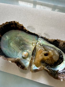 越前松島水族館に投稿された画像（2024/8/15）